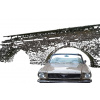 2026_7_jul_ford_mustang_posiert_vor_wiener_hochquellenleitung_stmk_2007452672