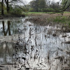 forrest_herbert_brandl_surreal_hyenen_in_der_au_468655869