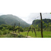 stillleben_12_ita_4_beim_cavazzosee_844759537