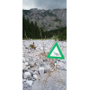 universal_6_stk_8_grasshopper_brunntal_543462511
